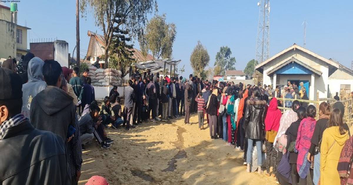 Nagaland assembly elections: Over 38.68 per cent voter turnout recorded till 11 am